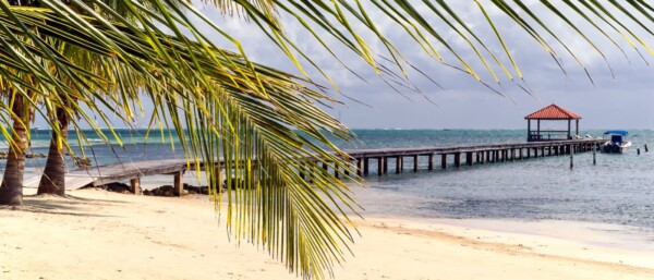 Tropical island scene in Ambergris Caye, Belize