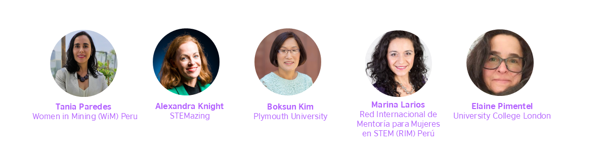 Speakers at Designing and Implementing Mentoring Programmes for Women in STEM