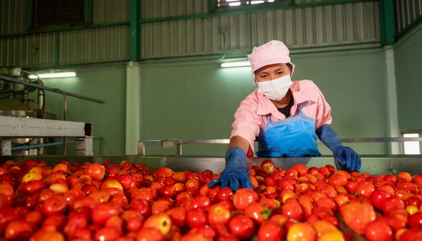 Two years on: Progress and impact of the Philippines’ Sector Skills Council for Fruits and Vegetable Processing